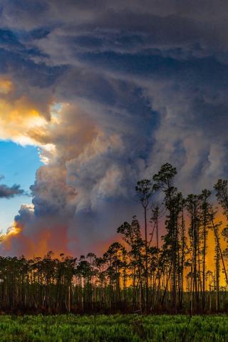 Okefenokee Swamp Wildfire