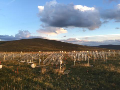 Test plots to study climate change effects on the Tibetan Plateau2